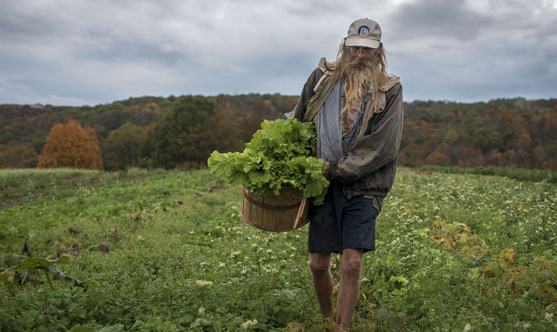 Local Food Resource Guide